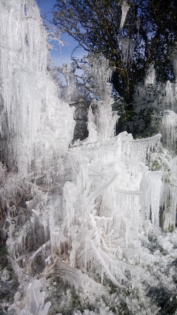 Ice Sculpture 2