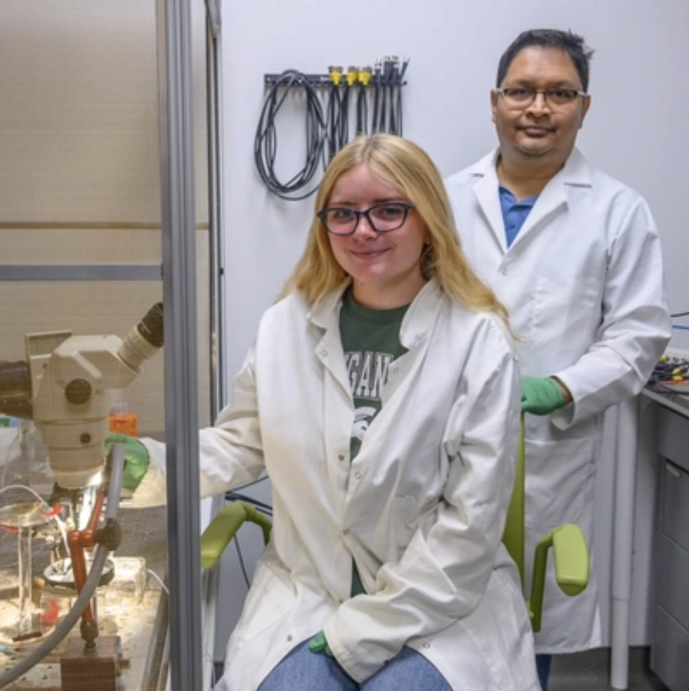 MSU Insects PFAS