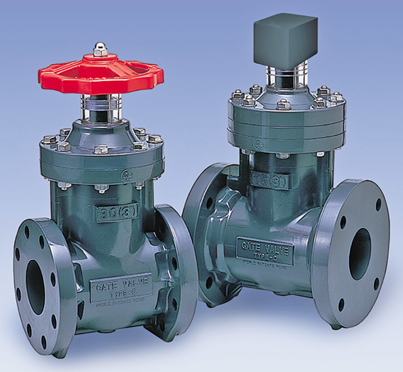 Valves - Asahi/America gate valves