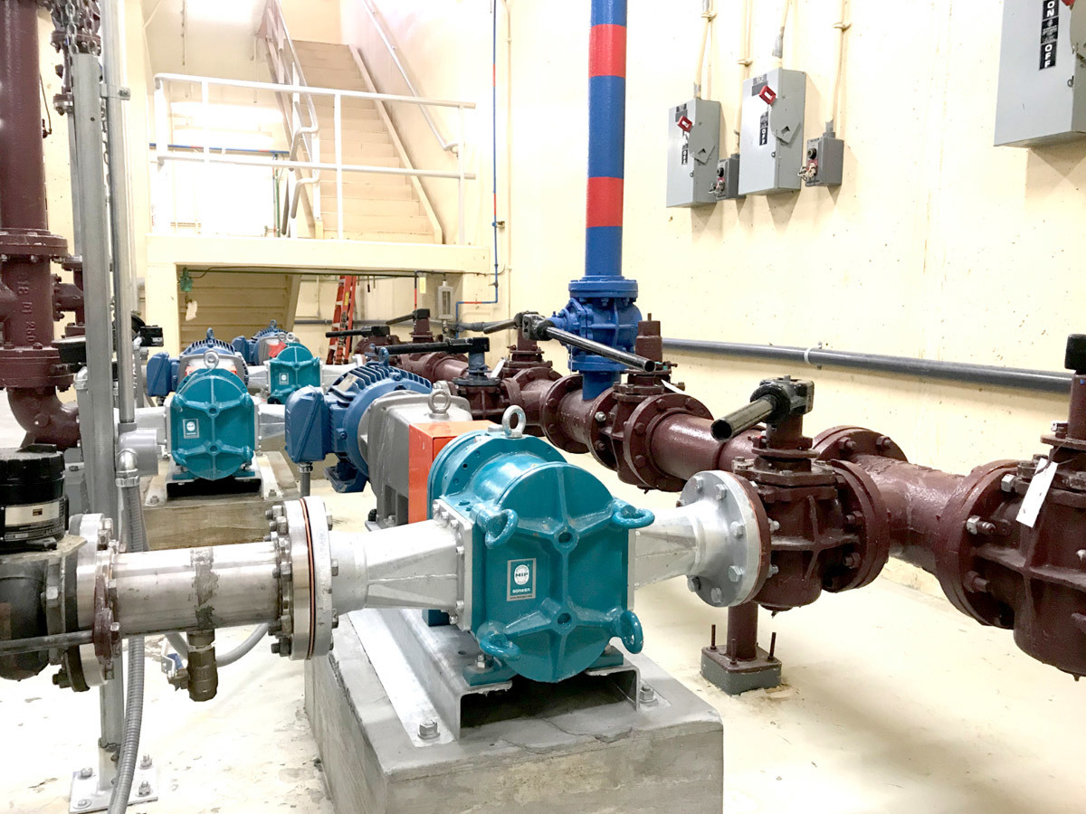 Pumps - Boerger BLUEline Rotary Lobe Pump