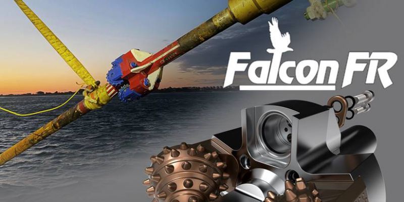 Century falcon large