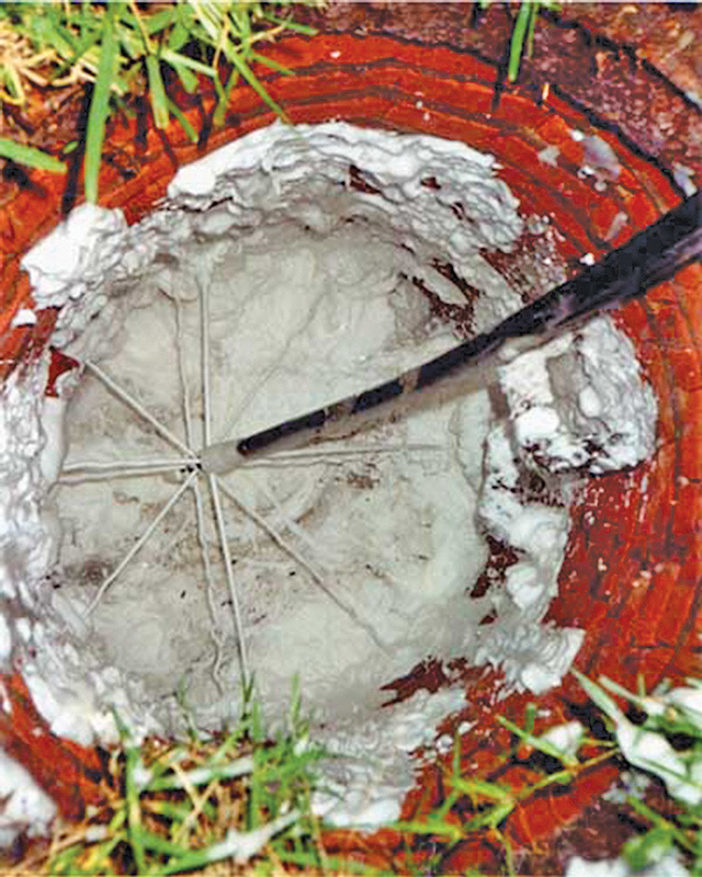 Manhole Root Control Chemical and Mechanical Root Control | Municipal Sewer and Water