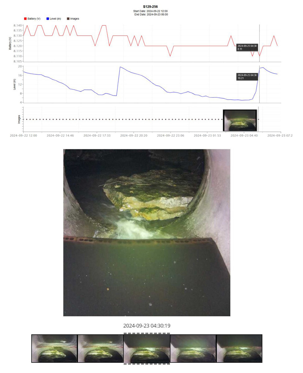 Infinitii ai case study