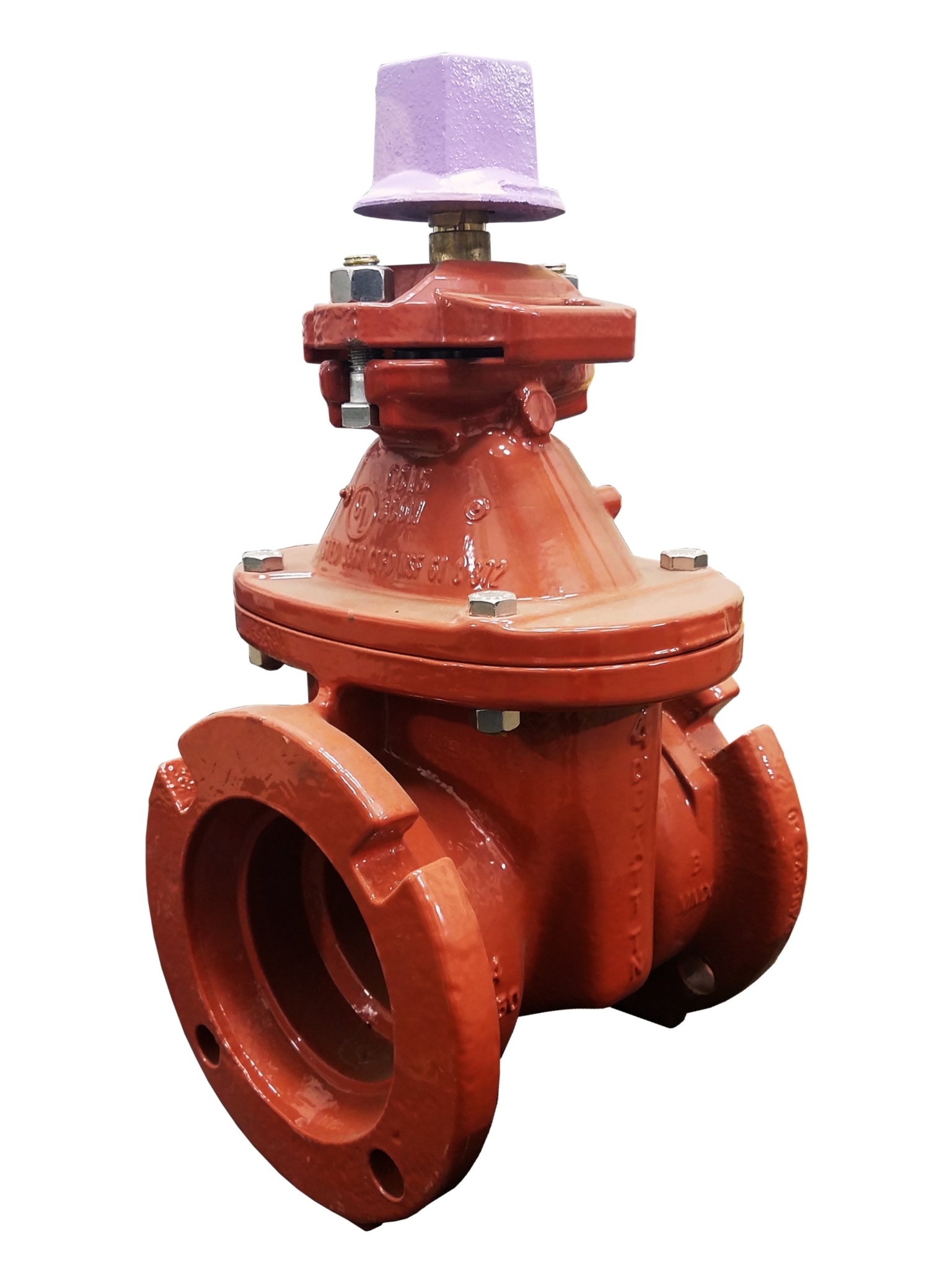 Mueller reclaimed water wrench nut