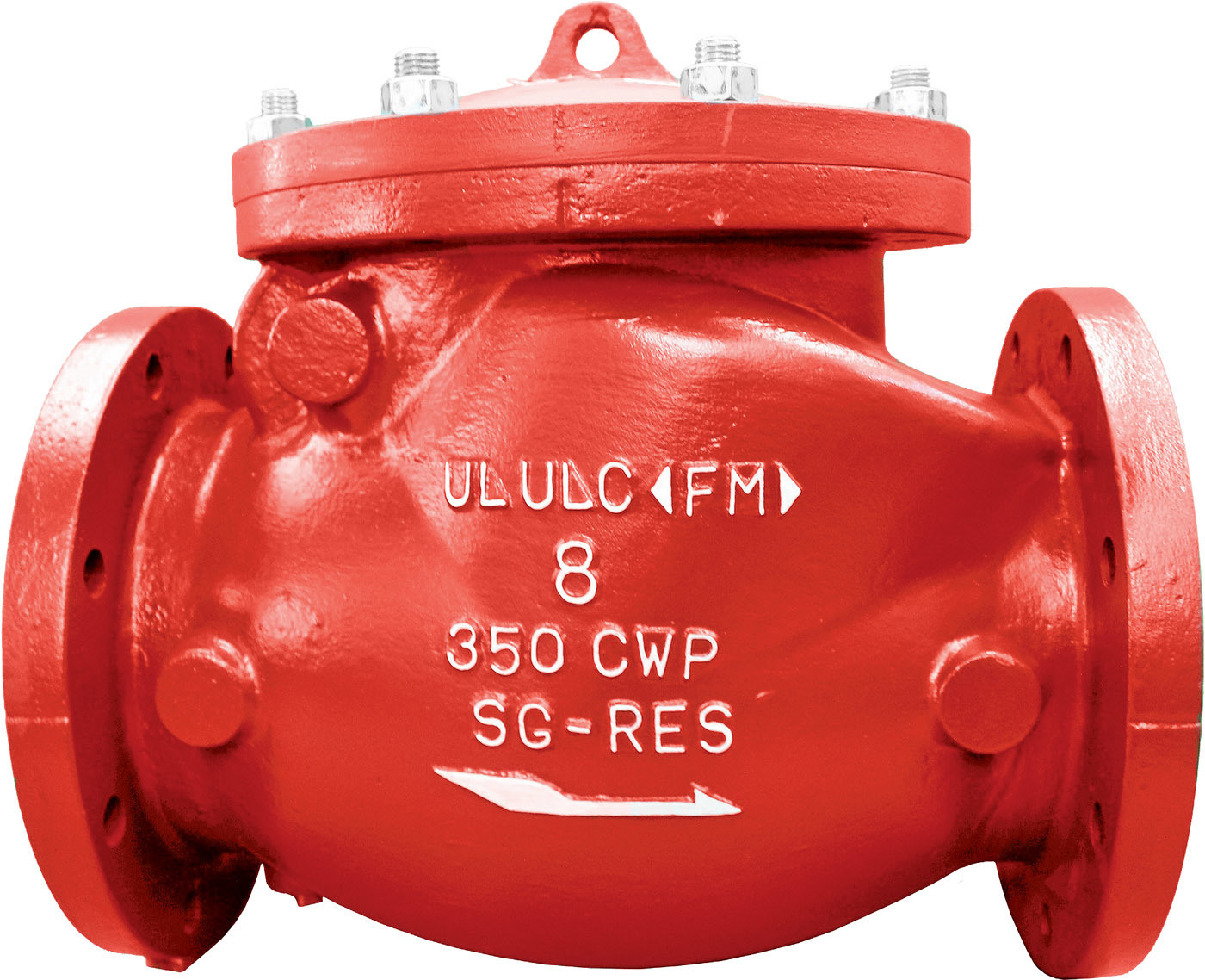 Mueller swing check valves