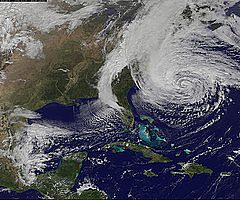 8131409082 F82D9F910F M