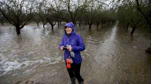 20160119 modesto orchard002 171030 135804
