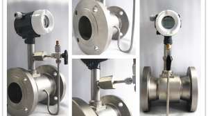 298 244 602vfm 171030 130625