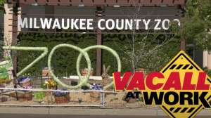 Vacall zoo video