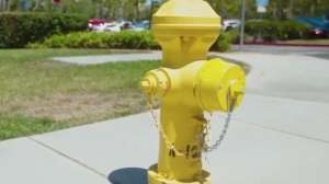 San Jose Water Echo Shore DX video