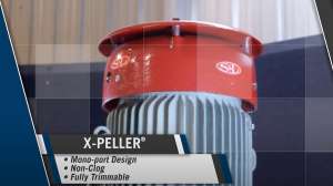 Video X PELLER Big Bear City