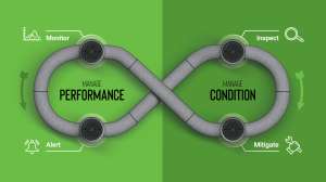 Assessment lifecycle