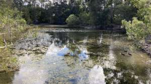 Constructed wetlands