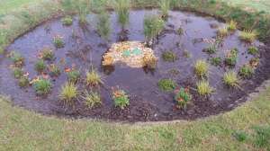 Bioretention Main