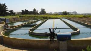 Open Pond System