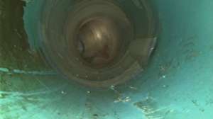 Screen shot 2016 10 05 at 8 18 58 am 171030 140319