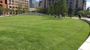 Img 2276 171030 140045