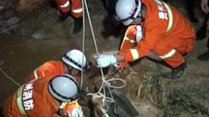 Screen Shot 2015 12 17 At 1 37 15 Pm