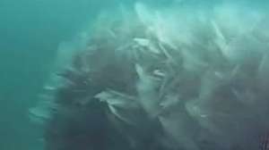 Frazil ice lake michigan intake 171030 130602