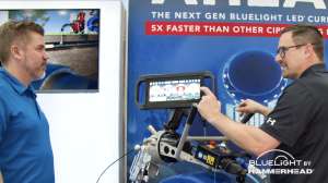 Wwett video hammerhead blue light