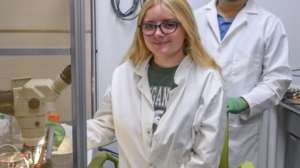 MSU Insects PFAS
