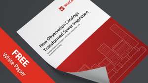 Defects Catalog WP