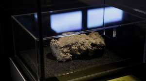Fatberg Museum Display 1