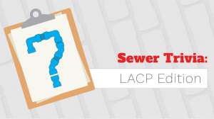 LACP social quiz graphics