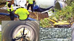 Reline America MSW Nov2024 Case Study Editorial Greenwood 1