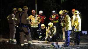 Sewer Rescue La Times