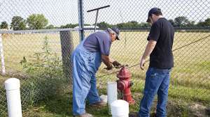 Alliance 0001 171031 135317