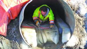 Ap m permaform case study 171031 131327