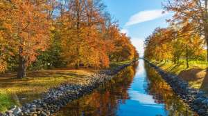 Autumn canal fall 223023