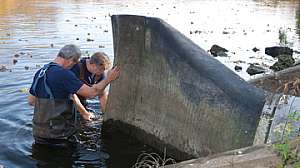 C0713 safety first west nile web 171030 110521