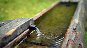 Cali water resiliency