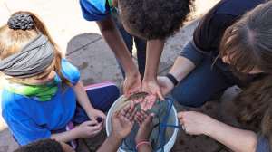 Colosprings2 250715 154433