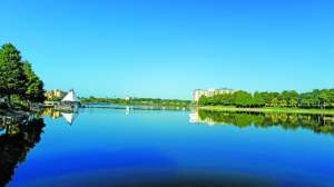 Ed torres 2178 171031 131342