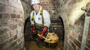 Fatberg Update