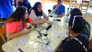Florida School Grant Program 2