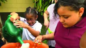 Florida school grant program