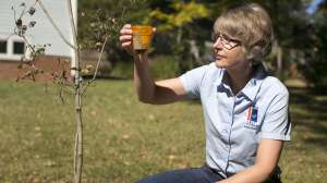 Jr Outreach Reboot 3