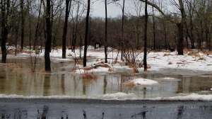 Jr snowmelt