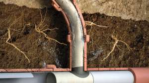 Lmk technologies t liner 181219 113326