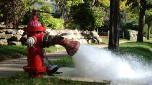 Madison Flushing Program