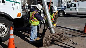 Nydep catch web 171030 130511