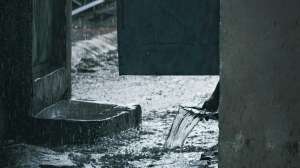 Pexels jean marc bonnel 387362531 18312461