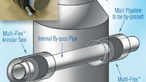 Product Spotlight Peterson Products Multi Flex Annular Seals