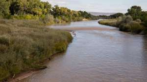 Reclamation feasibility studies