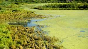 Sewage23