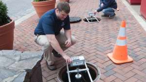 Sl Rat Infosense Rockville